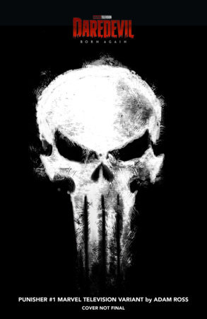 PUNISHER (2026) #1 ROSS MARVEL TELEVISION LOGO VARIANT