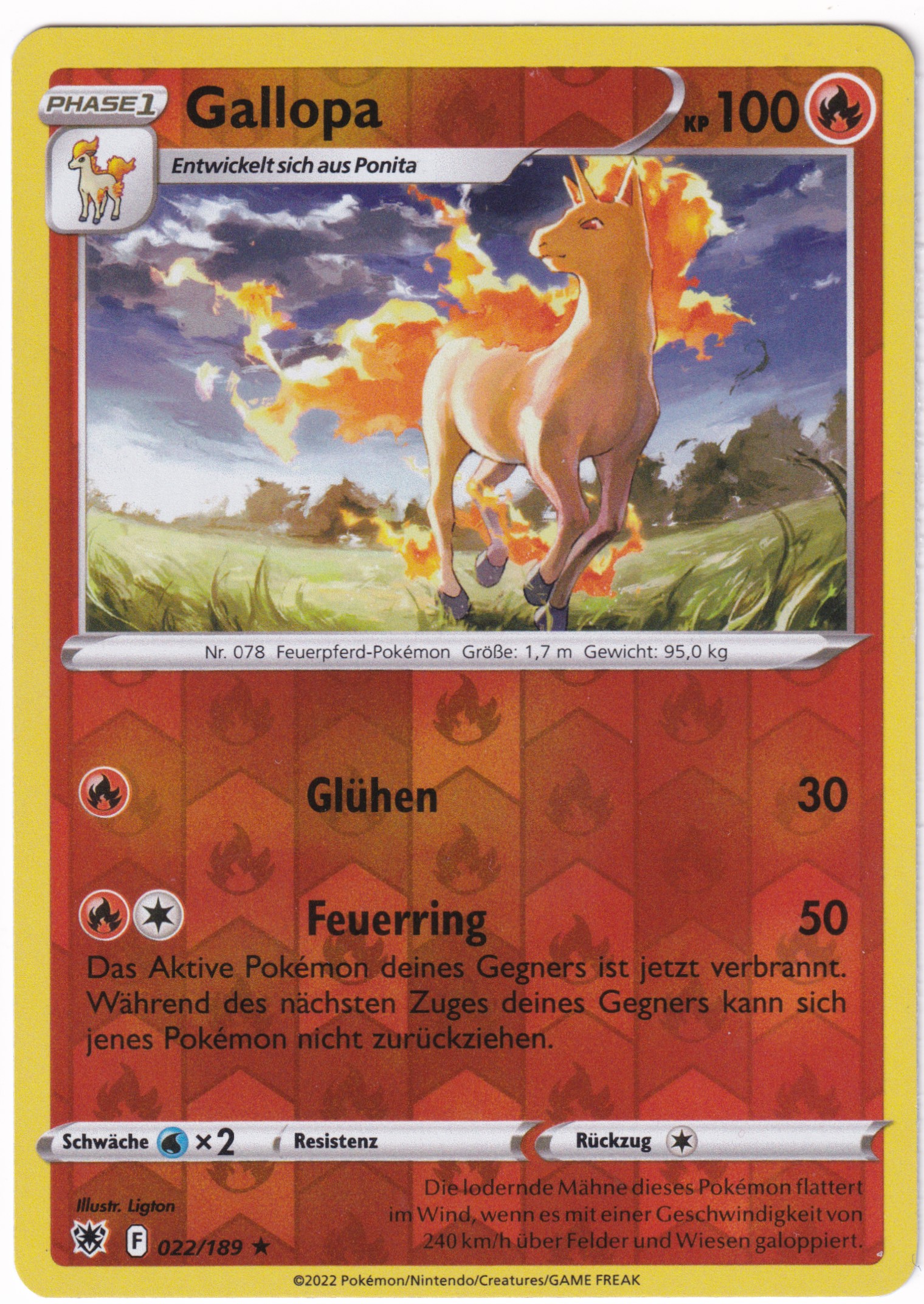 Gallopa 022/189 Rare Reverse Holo - Astralglanz Deutsch