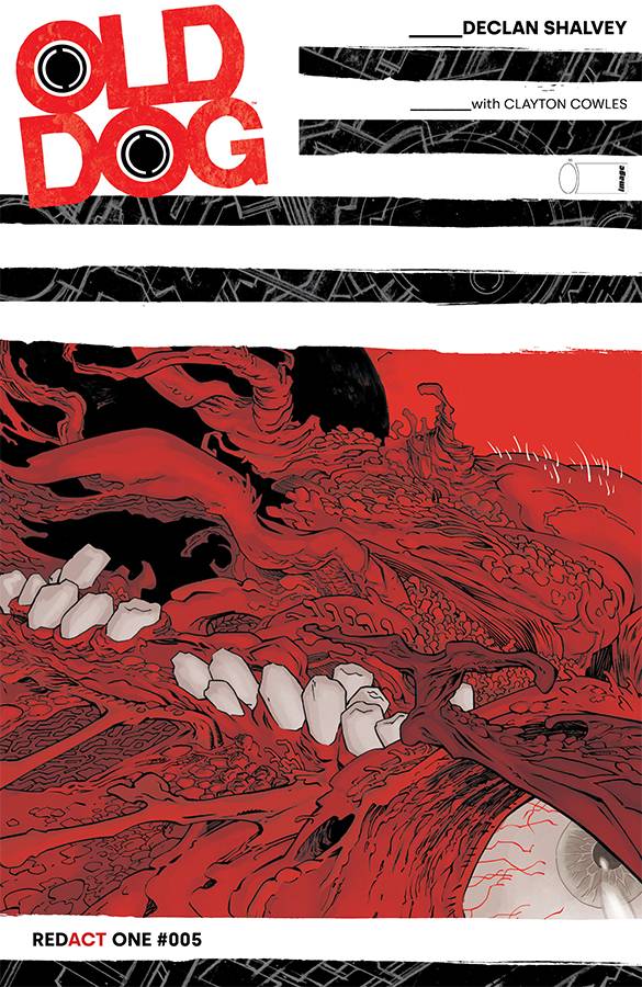 OLD DOG #5 CVR A SHALVEY