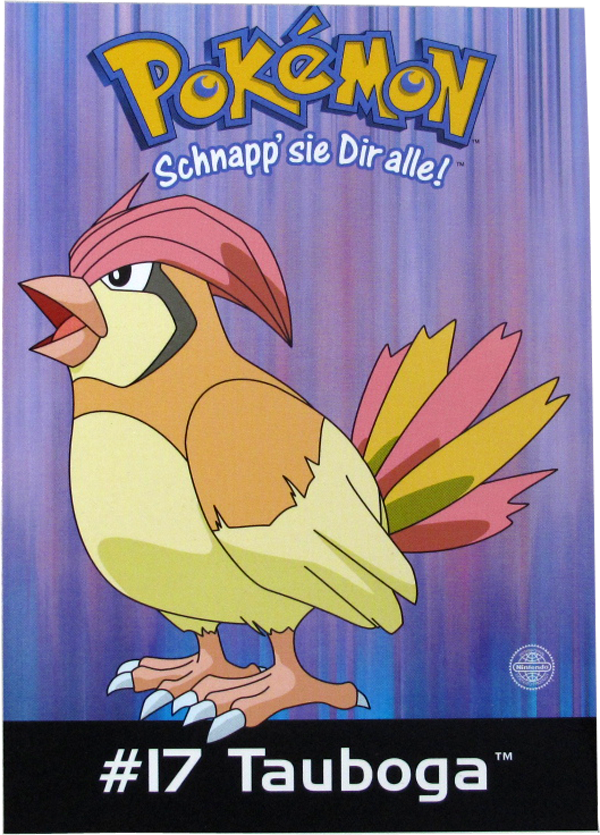 Pokemon Erste Generation Postkarte #17 Tauboga
