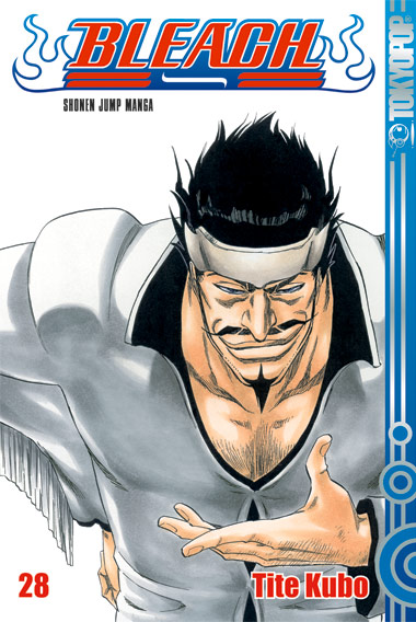 Bleach 28*