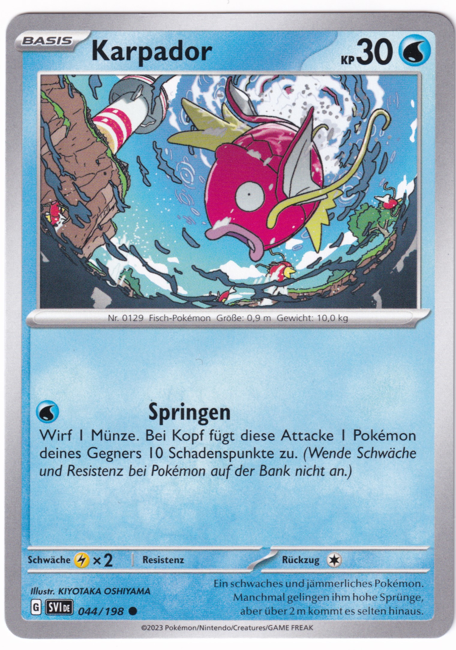 Karpador 044/198 Common - Karmesin & Purpur Deutsch