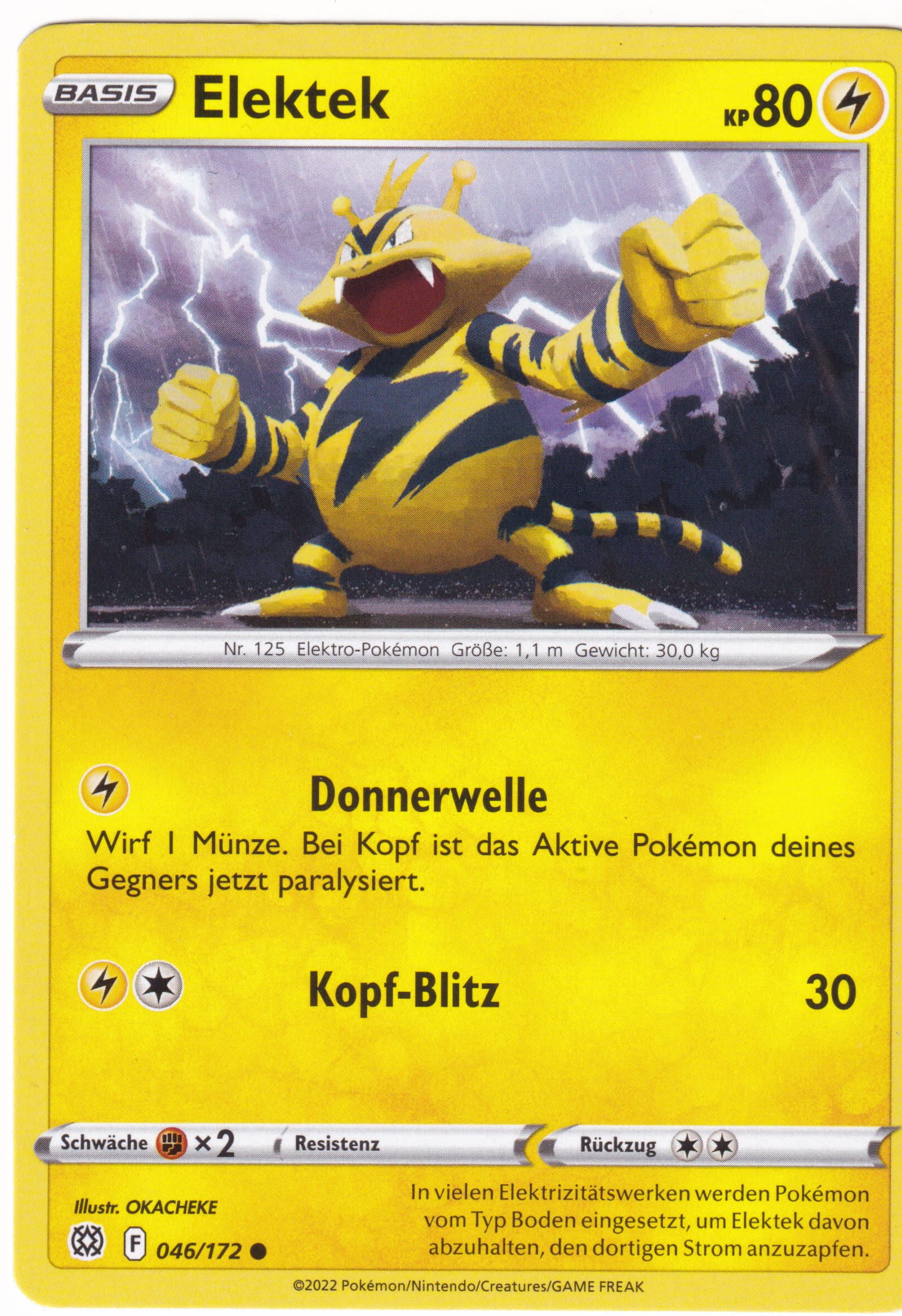 Elektek 046/172 Common - Strahlende Sterne Deutsch