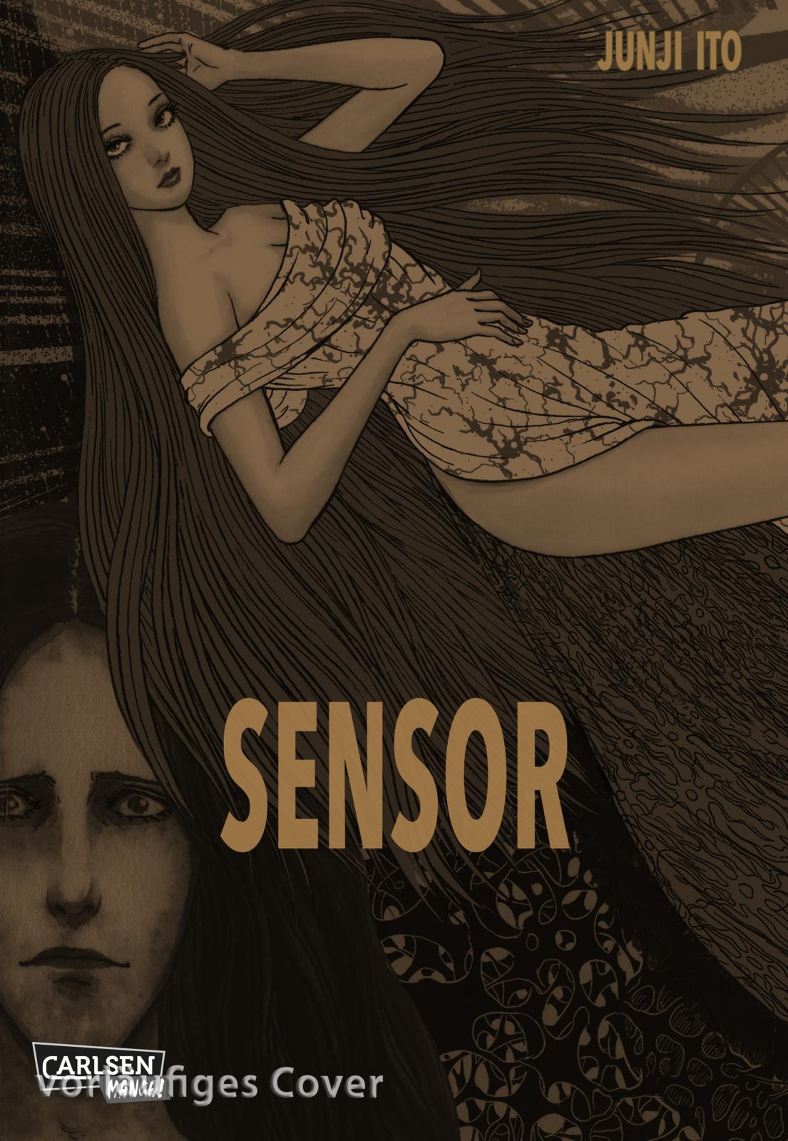 Sensor