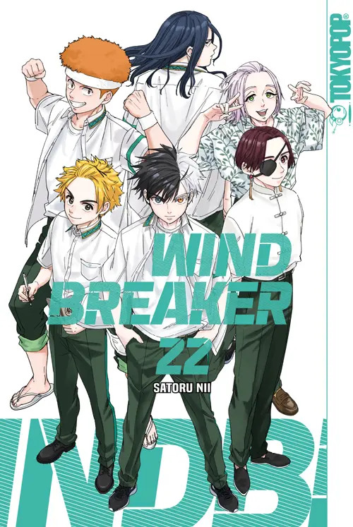 Wind Breaker 22