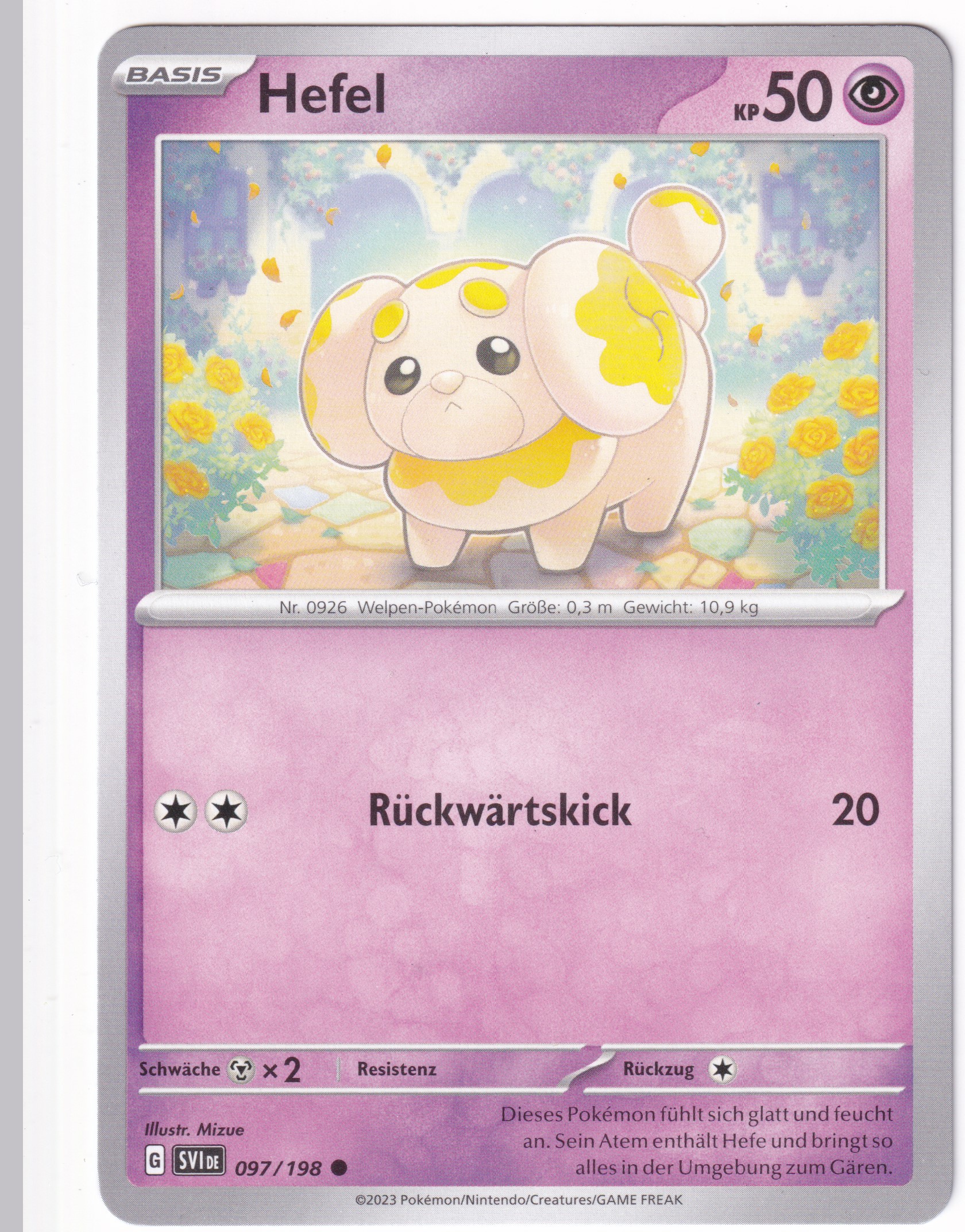 Hefel 097/198 Common - Karmesin & Purpur Deutsch