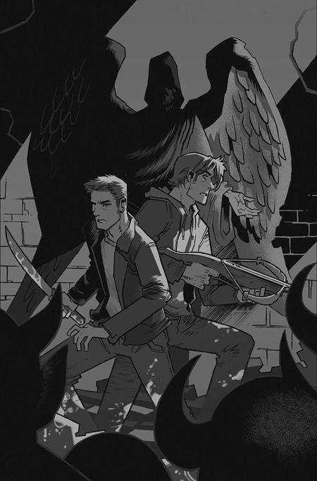 SUPERNATURAL #10 CVR K INC 1:15 JOHN AMOR LINE ART VIRGIN VAR