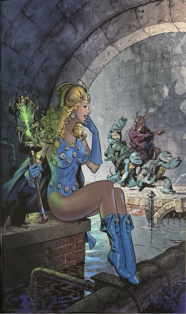 Teenage Mutant Ninja Turtles #20: 300th Issue Michael Dooney Virgin Variant